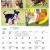 Dogs of Australia Calendar 2017 | july.jpg