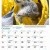 Dogs of Australia Calendar 2017 | oct.jpg