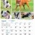 Dogs of Australia Calendar 2017 | march.jpg