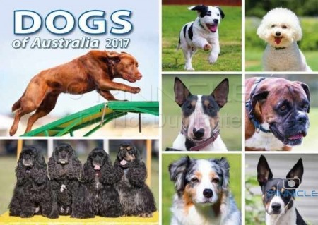 Dogs of Australia Calendar 2017 | 2017_dogs_front.jpg