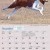 Dogs of Australia Calendar 2018 | dec.jpg