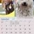 Dogs of Australia Calendar 2018 | sept.jpg