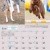 Dogs of Australia Calendar 2018 | june.jpg