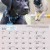 Dogs of Australia Calendar 2018 | july.jpg