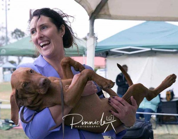 Show - Hungarian Vizsla Club of NSW - 14th October 2017